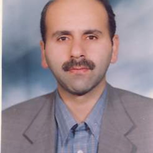 تصویر علی ملکی