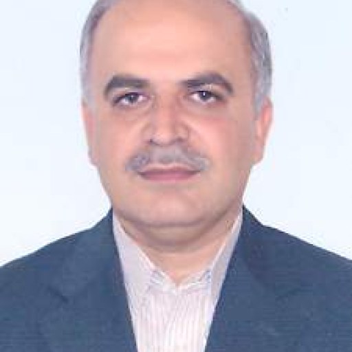 تصویر سیدمحمد میری