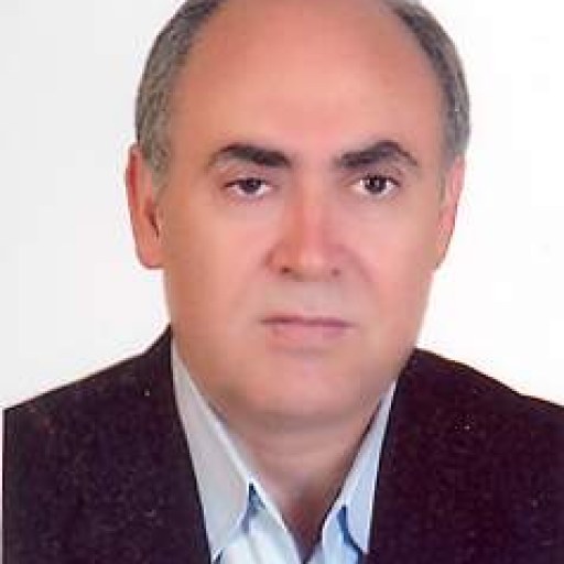 تصویر ضرغام غریبی