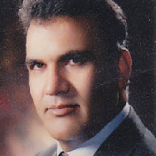 تصویر حسین احمدی
