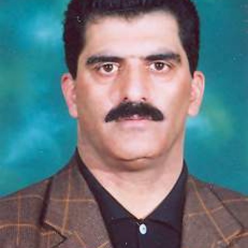 تصویر محمودرضا حبیبی مهر