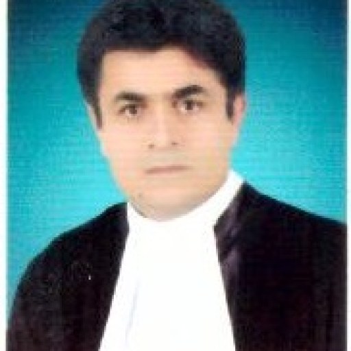 تصویر علی حسن زاده