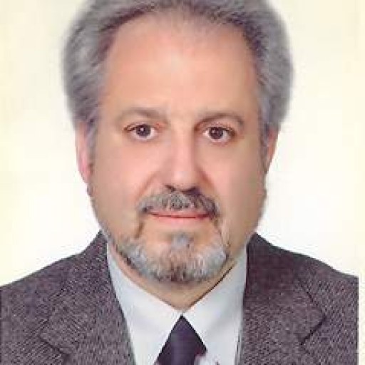 تصویر حمید حسین قناعتی