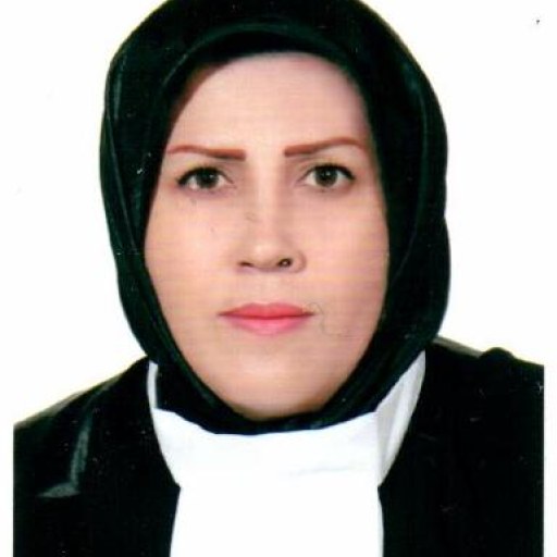 تصویر آذر قربانی سنگرودی