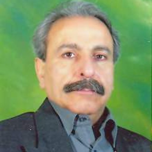 تصویر محمدرضا مجتهدی