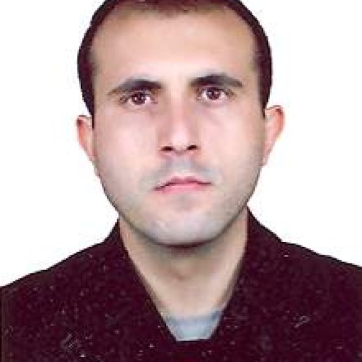 تصویر مجتبی حسین پور
