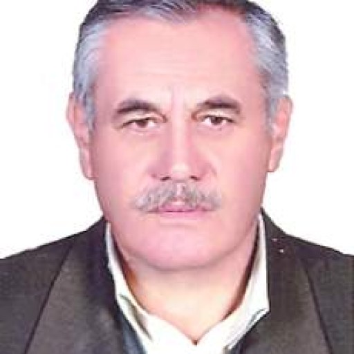 تصویر پرویز همتیان محمدنژاد