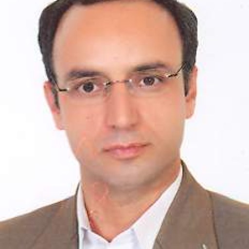 تصویر سید ضیاء الدین مصطفوی پور