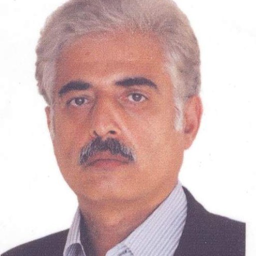 تصویر محمدرضا گرگان محمدی
