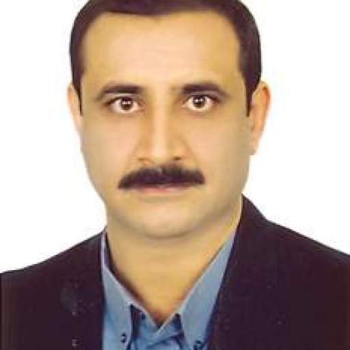 تصویر مجید رضوی