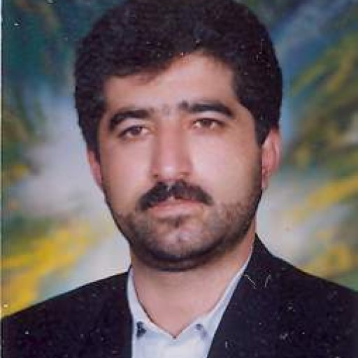 تصویر علی گرجی