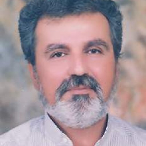 تصویر محمود شفاف