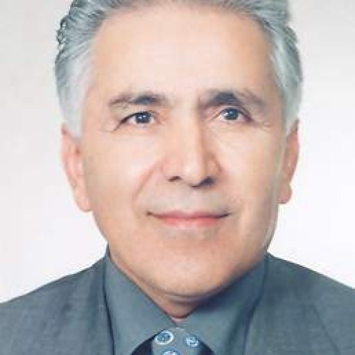 تصویر ناصر رجبی
