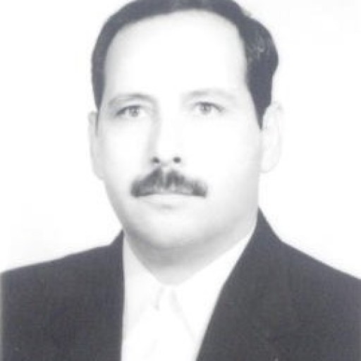تصویر محمد علی توسلی نژاد