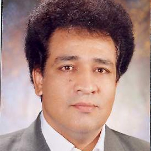 تصویر محمدمسعود محبی