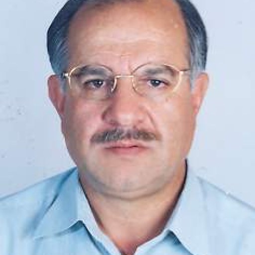 تصویر امیر شیرزادی