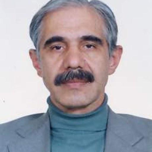 تصویر علی محمد مومنی