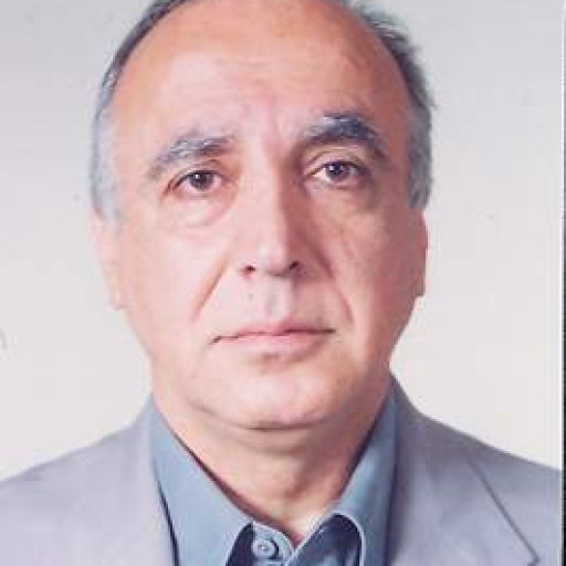 تصویر سیامک کوثری