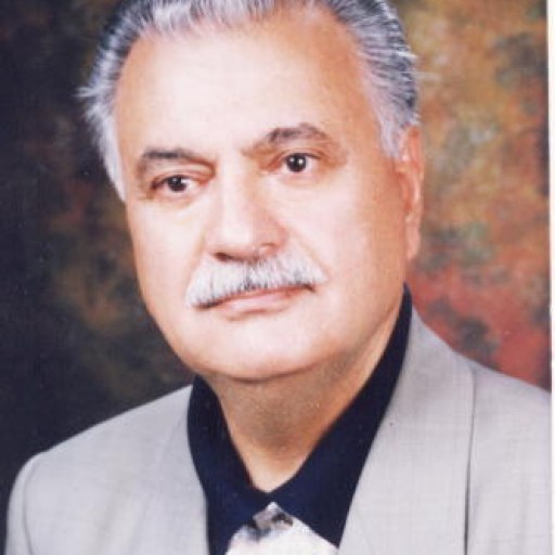 تصویر سید محمد جندقی کرمانی پور