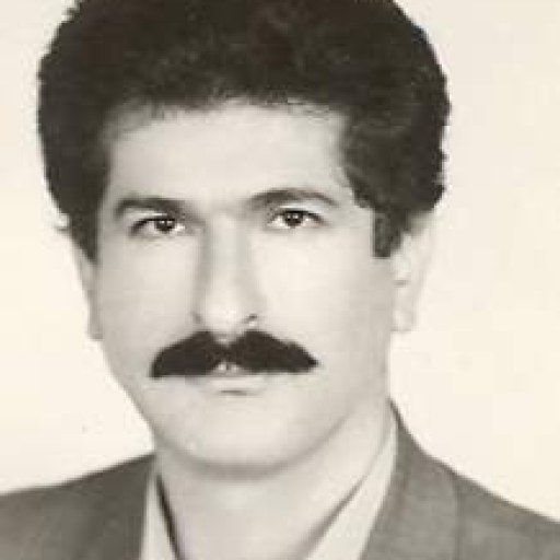 تصویر بهروز دلیری