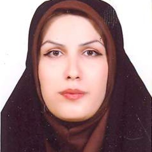 تصویر مهری آئینه چی