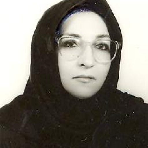 تصویر فروغ شیخ الاسلامی