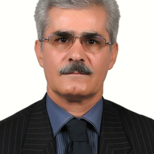 تصویر محمدحسین نصیری کهنموئی