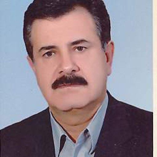 تصویر حسین زمانپور