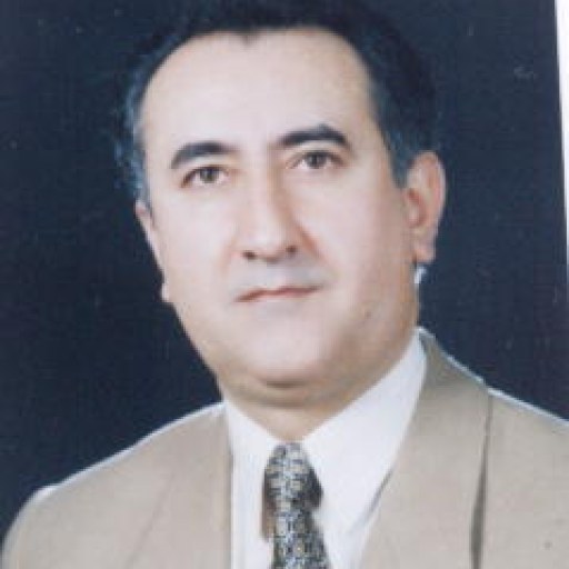 تصویر محمد بحرالعلومی بفروئی