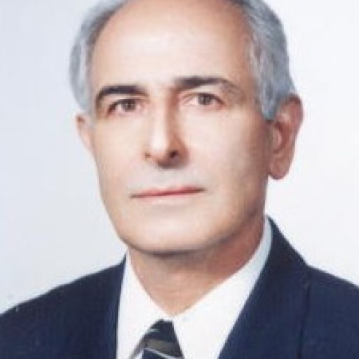 تصویر حسن ارض پیما
