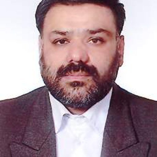 تصویر حسن افشار
