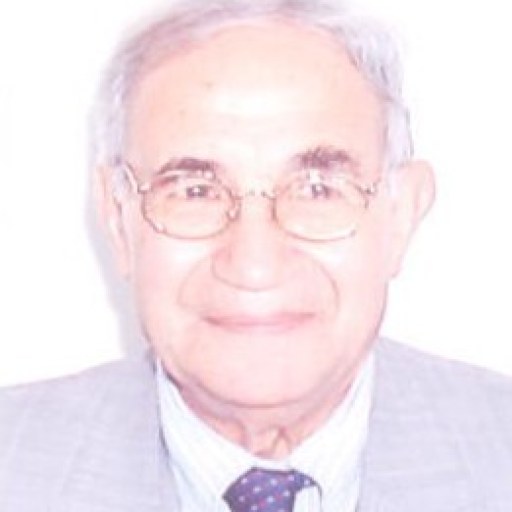تصویر سیدمحمود میرسعیدی فراهانی