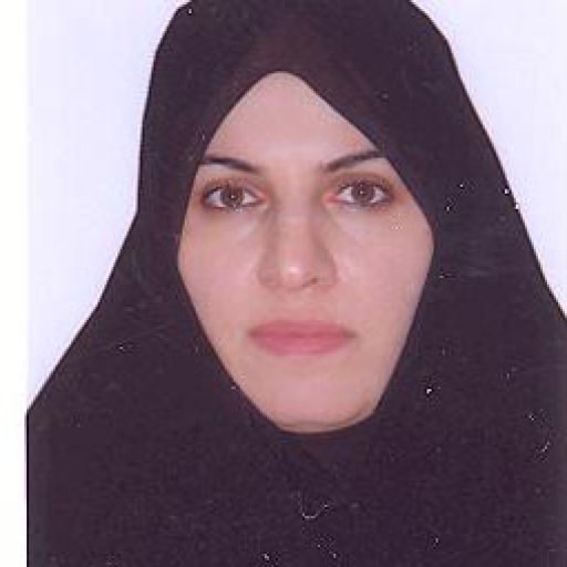 تصویر عاطفه امینی نیا