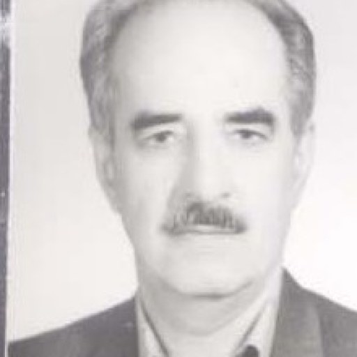 تصویر سیدحسن مصطفوی عبدالملکی