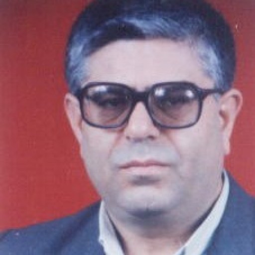 تصویر حیدر حسن پور قادی