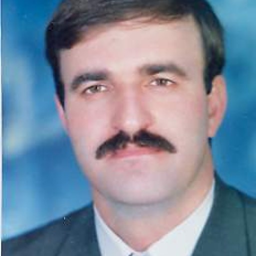 تصویر داود حجازی
