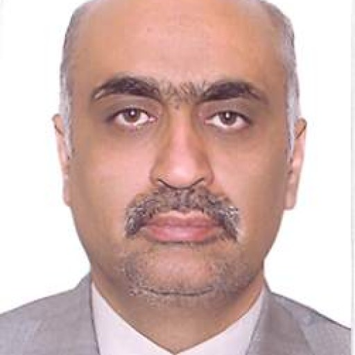 تصویر داوود امیرعلی