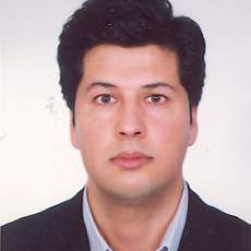 تصویر رضا محمدی