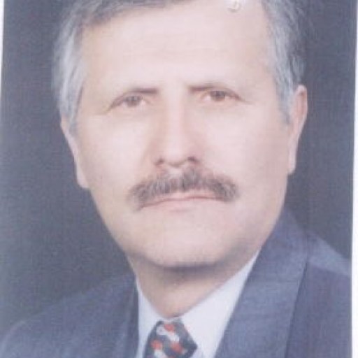 تصویر منوچهر زمانی