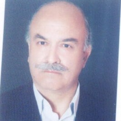 تصویر محمدعلی احمدی زنوزی