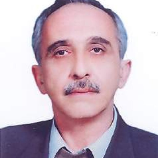 تصویر برزین شفیع زاده روشنی