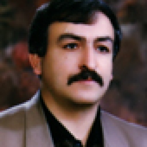 تصویر محمود امیرعابدین