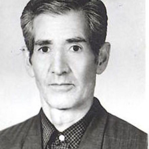 تصویر احمد پیروزنیا
