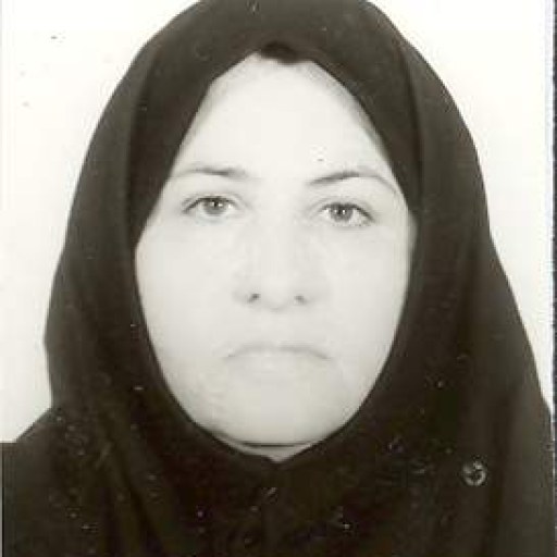 تصویر فرزانه سیاسی فر