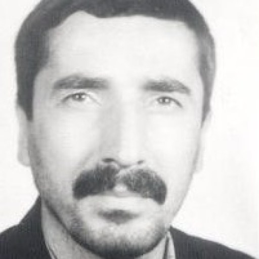 تصویر حسین رستمی