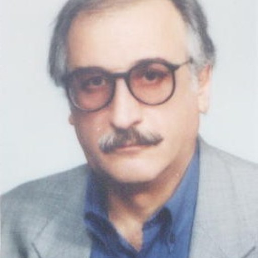 تصویر کامران محمودی