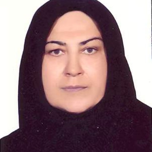 تصویر مینا جمالی