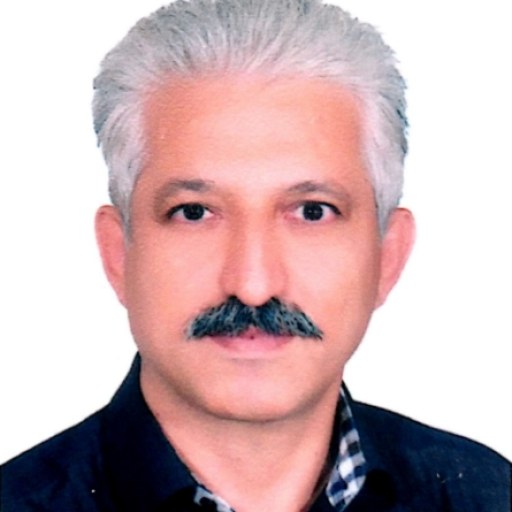 تصویر علی حسن پور مافی
