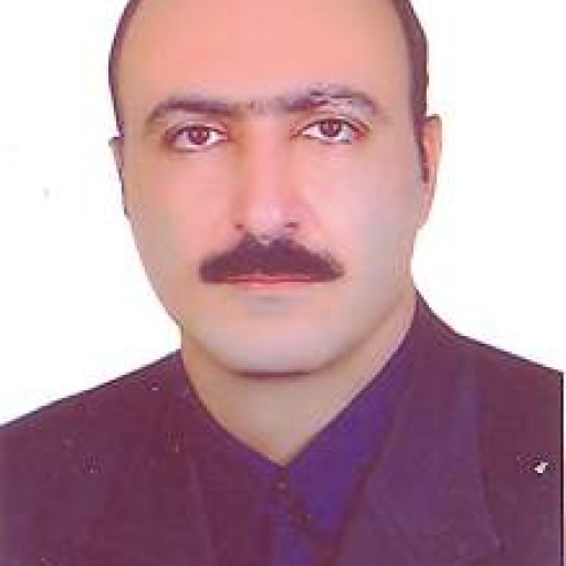 تصویر محمد رضا امیر سرداری