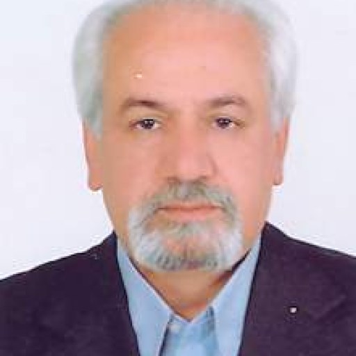 تصویر محمدحسین آیت اللهی